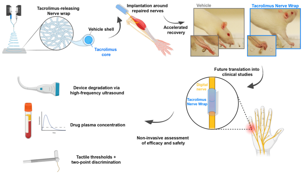 Nerve Regeneration Symptoms